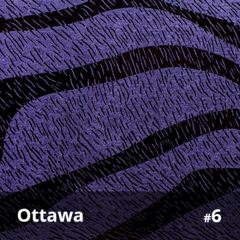 Ottawa 6